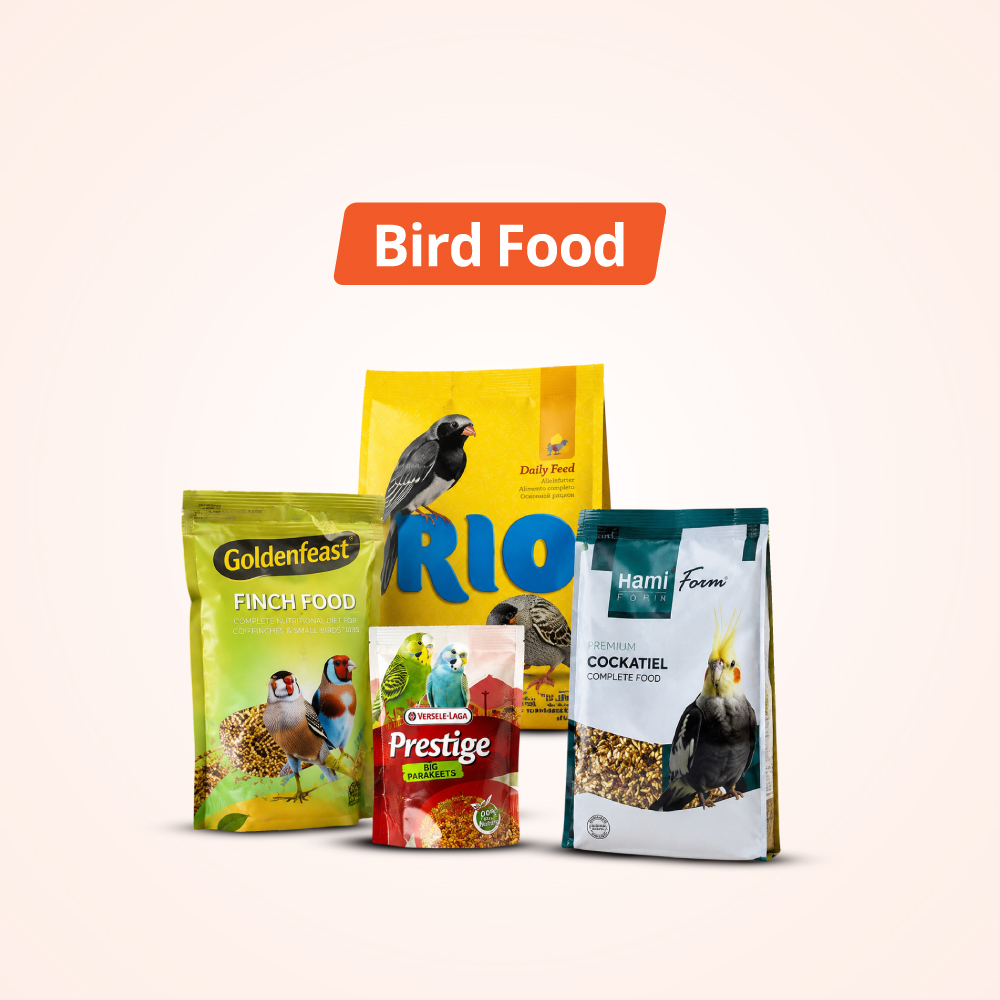 Bird Food