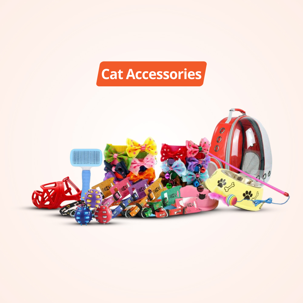Cat Accessories