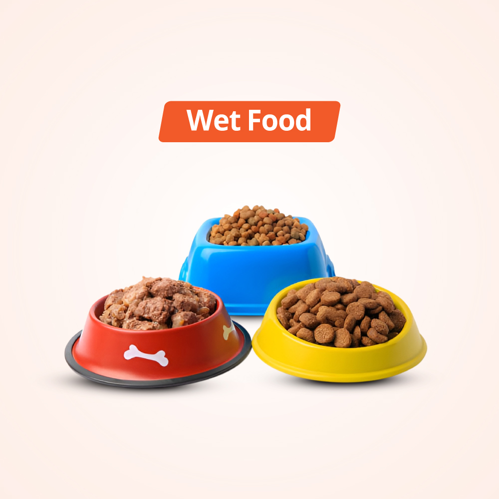 Wet Food