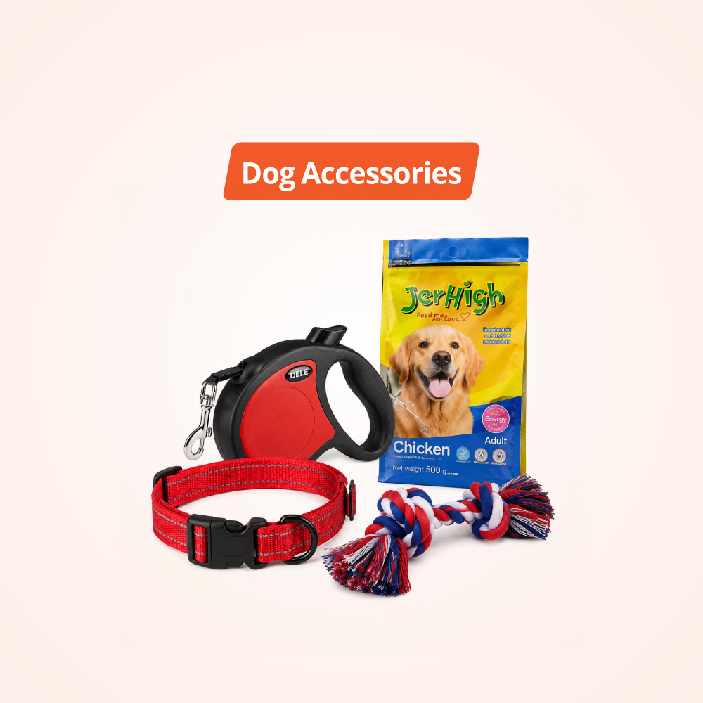 Dog Accessories