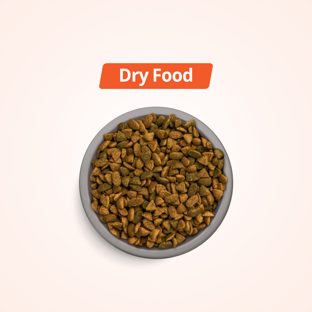 Dry Food